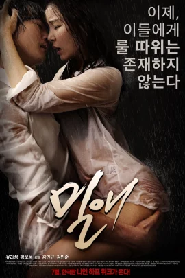 Love Affair (2014)