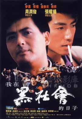 Triads The Inside Story (1989) โหดต้องโทษดวง