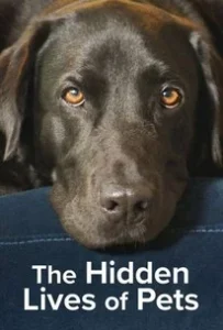 The Hidden Lives of Pets (2022) ชีวิตลับสัตว์เลี้ยง