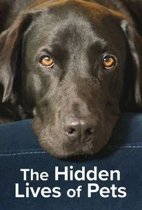 The Hidden Lives of Pets (2022) ชีวิตลับสัตว์เลี้ยง