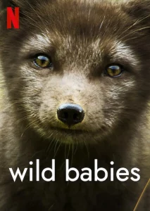 Wild Babies (2022) เกิดในป่า