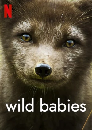 Wild Babies (2022) เกิดในป่า