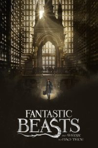 Fantastic Beasts and Where to Find Them (2016)