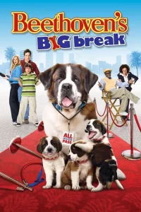 Beethoven s Big Break (2008) บีโธเฟน ยอดคุณหมาดาราจำเป็น ดูหนัง Beethoven s Big Break (2008) บีโธเฟน ยอดคุณหมาดาราจำเป็น