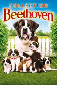 Beethoven s Big Break (2008) บีโธเฟน ยอดคุณหมาดาราจำเป็น