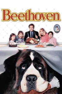 Beethoven s Big Break (2008) บีโธเฟน ยอดคุณหมาดาราจำเป็น