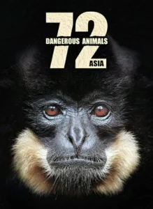 72 Dangerous Animals (2018) 72 สัตว์อันตราย