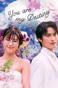 You Are My Destiny (2020) พรหมลิขิตรักไม่รู้จบ