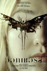 The Watchers (2024) เดอะวอทเชอร์ส