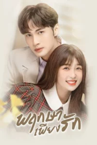 A Romance of The Little Forest (2022) พฤกษาเพียงรัก
