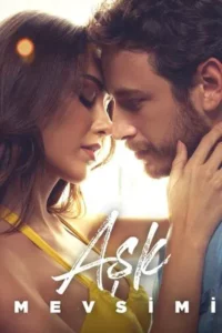 Season of Love (2024)