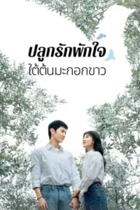 The White Olive Tree (2025) ปลูกรักพักใจ ใต้ต้นมะกอกขาว
