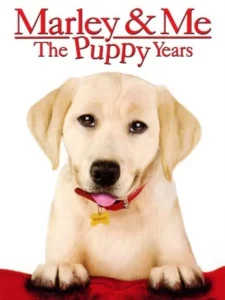 Marley and Me The Puppy Years (2011)