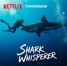Shark Whisperer (2025) คนรักษ์ฉลาม