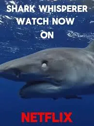 Shark Whisperer (2025) คนรักษ์ฉลาม