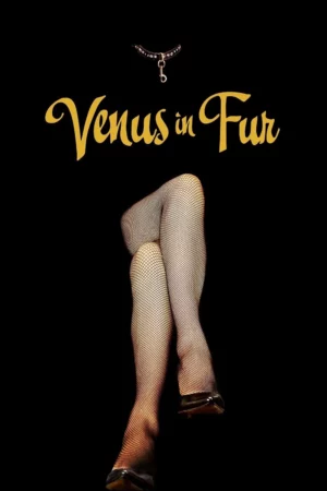 Venus in Fur (2013) วุ่นนัก รักผู้หญิงร้าย