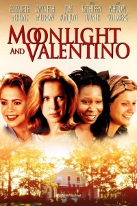 Moonlight and Valentino (1995) หัวใจผู้หญิง... จะประคองให้กัน