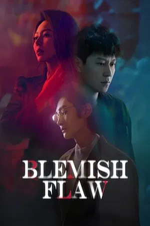 Blemish Flaw (2025)