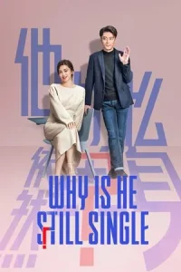Why Is He Still Single (2025) ปริศนาหนุ่มโสด