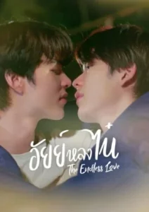 Ai Long Nhai The Endless Love (2023) อัยย์หลงไน๋