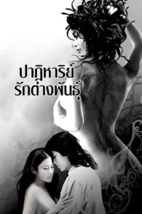 Deep In The Jungle (2008) ปาฏิหาริย์รักต่างพันธุ์ Deep In The Jungle (2008) ปาฏิหาริย์รักต่างพันธุ์