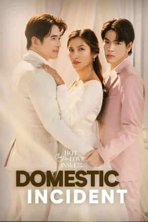 Domestic Incident (2024) เหตุร้ายในครอบครัว