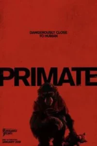 Primate (2026) ลิงคลั่งพันธุ์ดิบ Primate (2026) ลิงคลั่งพันธุ์ดิบ
